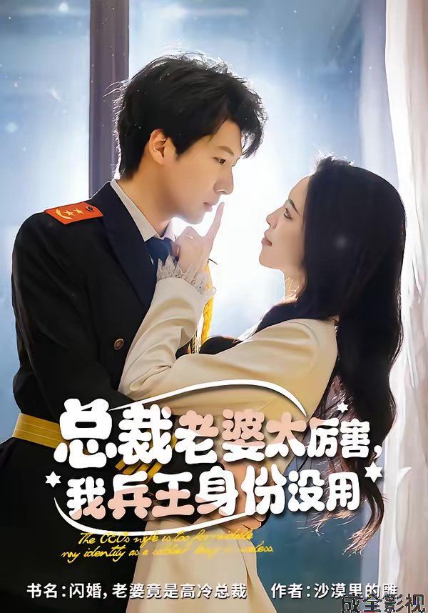 总裁老婆太厉害，我兵王身份没用